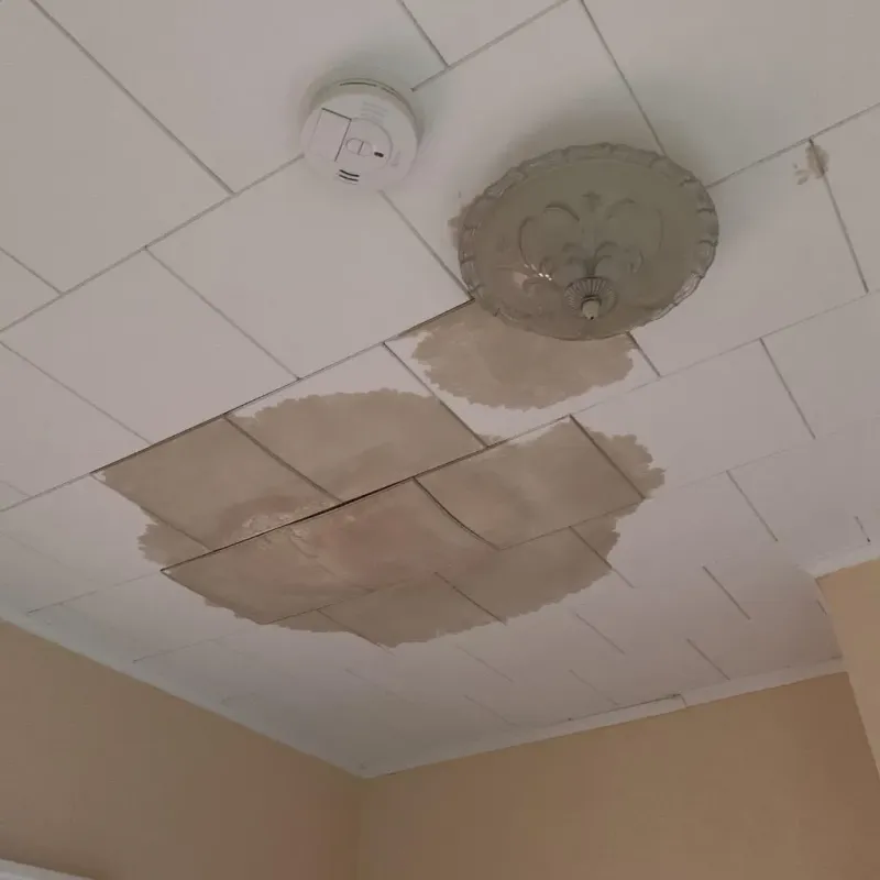 Ceiling Water Damage Repair in Hastings, PA
