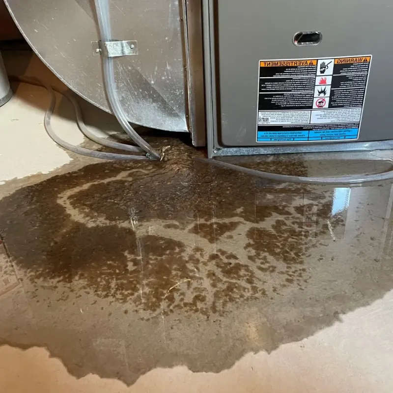Pipe Burst and Leak Restoration in Hastings, PA