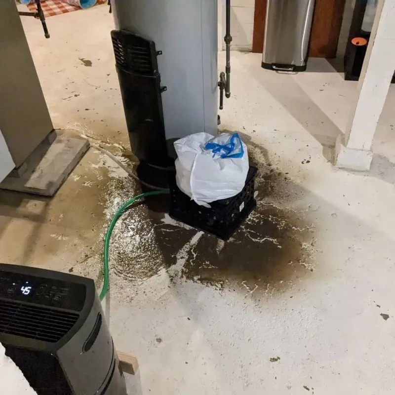 Sewage Backup Cleanup Service in Hastings, PA